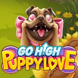 Official Slots logo: Go High Puppy Love by RubyPlay at Wild Fortune Casino